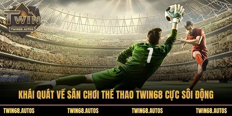 Khái quát về sân chơi thể thao TWIN68 cực sôi động